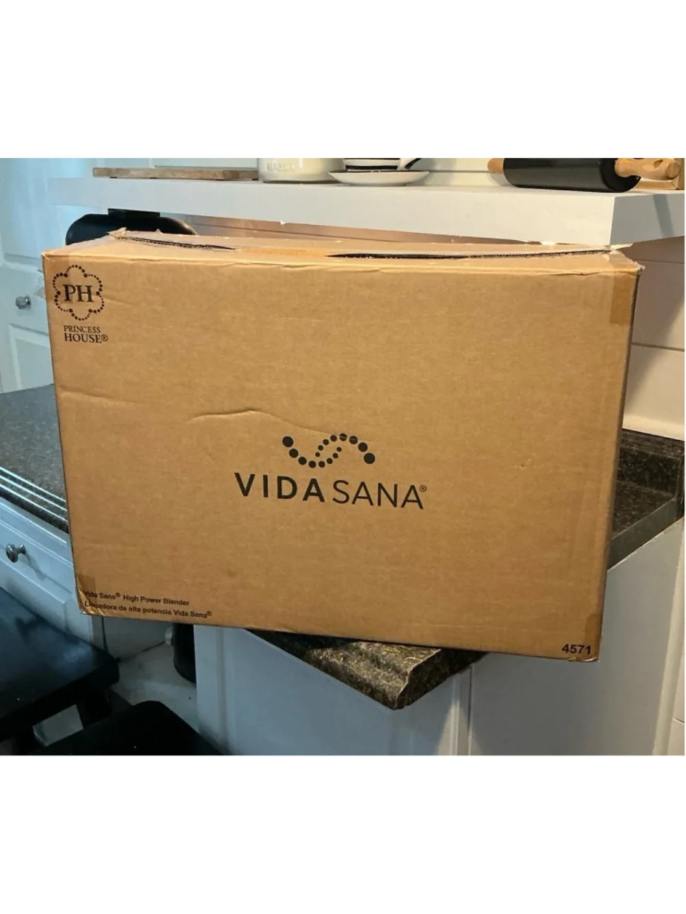 Brand NEW Princess House Vida Sana Electrics High-Power Blender, Model 4571